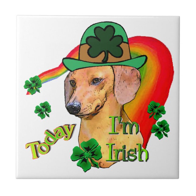 Dachshund St Patricks (Frente)