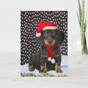 Dachshund Um Cartão De Natal Para Neve