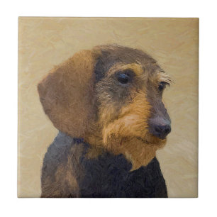 Dachshund (Wirehaired) Pintura Original para Cacho