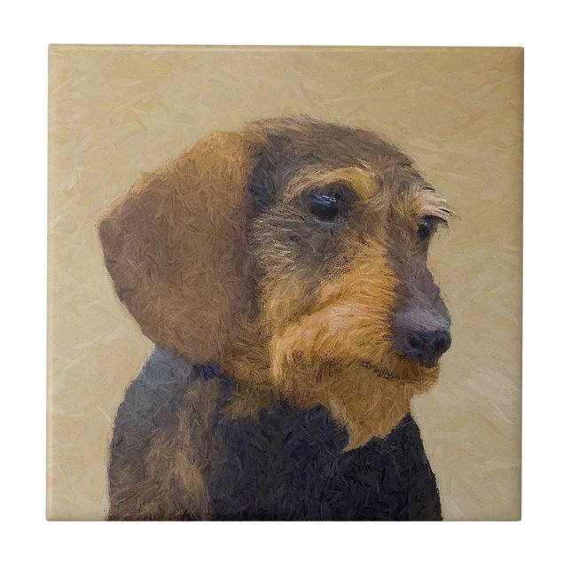 Dachshund (Wirehaired) Pintura Original para Cacho (Frente)