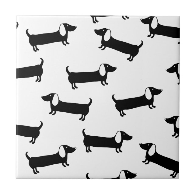 Dachshunds em preto e branco (Frente)
