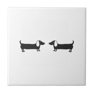 Dachshunds no amor preto e branco