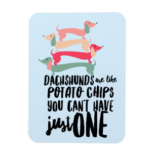 Dachshunds são como Batatas Fritas 3"x4"Foto Ímã