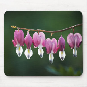 Dacil Hearts Mousepad