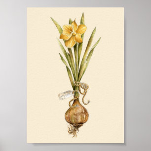 Daffodil Daydre- Poster