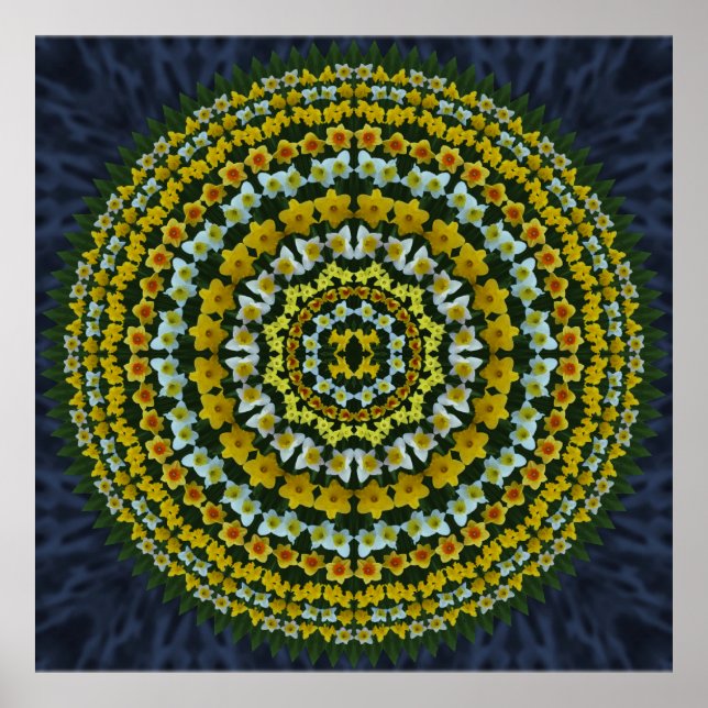 Daffodil Mandala Poster (Frente)