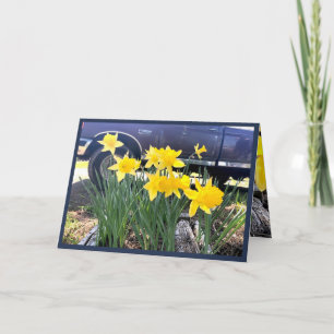 Daffodil pelo meu velho cartão de saudação de cami