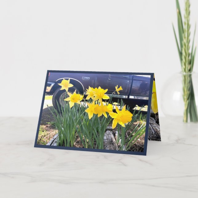Daffodil pelo meu velho cartão de saudação de cami (Frente)