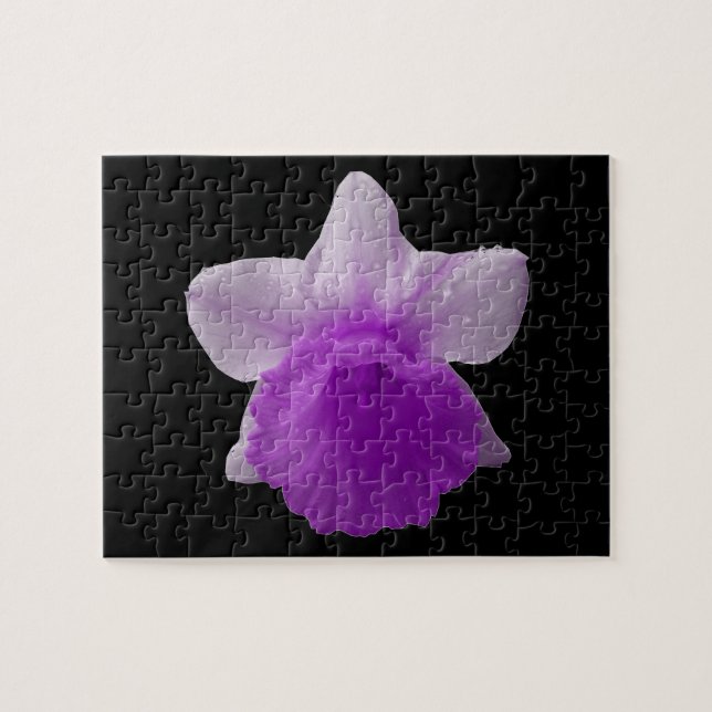 Daffodil Quebra-cabeça Roxo (Horizontal)