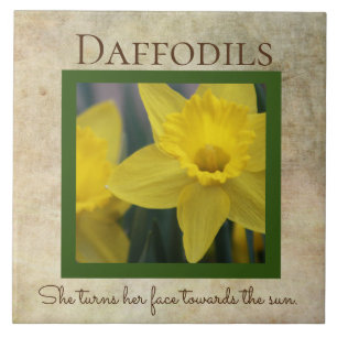 Daffodil Quote Primavera