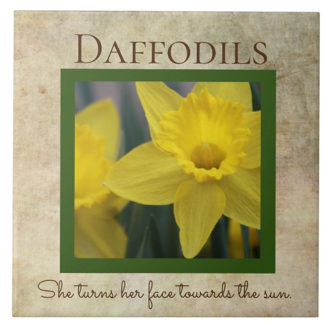 Daffodil Quote Primavera (Frente)