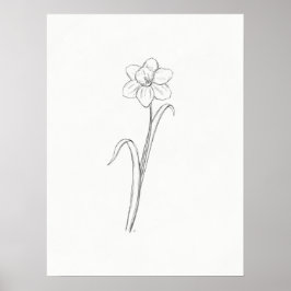 Daffodil Sketch Impressão