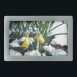 Daffodilos amarelos na neve<br><div class="desc">Flores amarelas Daffodils na neve Foto por Sandy Closs Yellow, Daffodil, flores, flor, floral, neve, primavera, vida selvagem, flores silvestres, montanha</div>