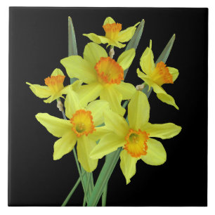 Daffodils
