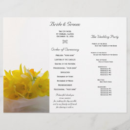 Daffodils Amarelos no Programa Casamento Triplo Br