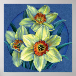 "Daffodils - as alegrias do primavera" belo poster