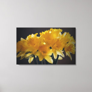 Daffodils Canvas Flor Arte Fotográfica