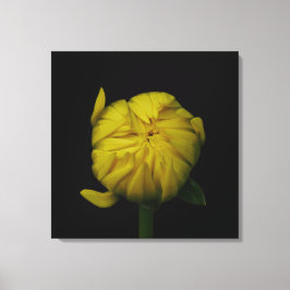 Dahlia Bud Canvas Amarelo
