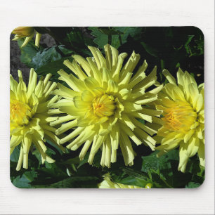 Dahlia Lakeview Brilho #1 Mouse Pad