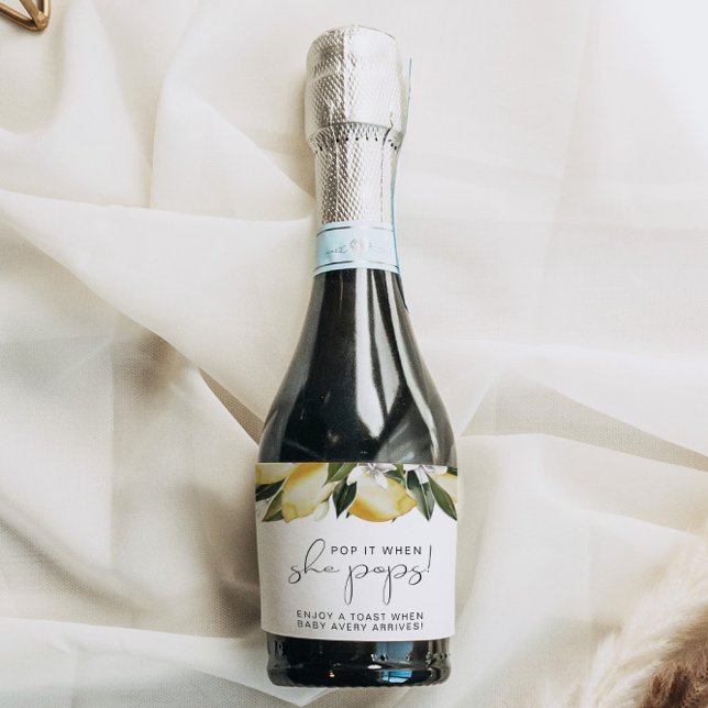 DAHLIA Lemon Citrus Fruta Quando Pop (Criador carregado)