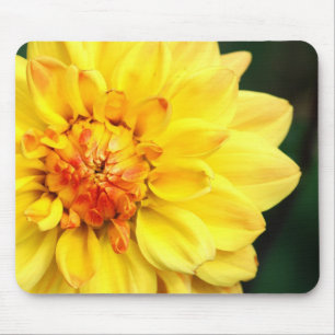 Dahlia Mousepad Amarelo