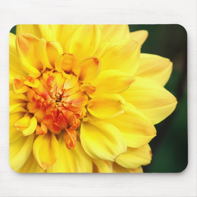Dahlia Mousepad Amarelo (Frente)