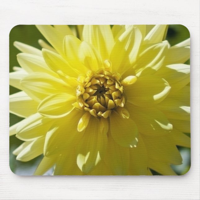 Dahlia Mousepad Amarelo (Frente)