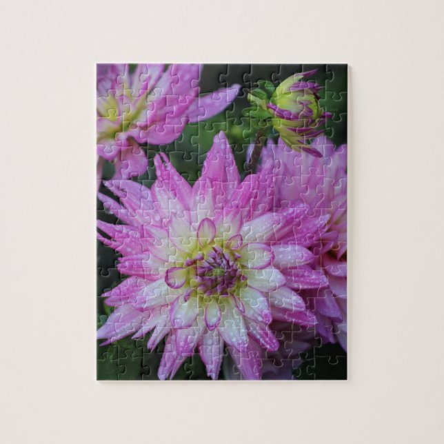 Dahlia Quebra-cabeça rosa (Vertical)