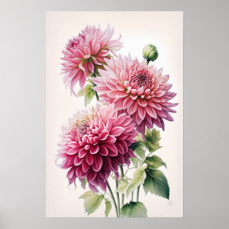 Dahlia Rosa Flores Impressão
