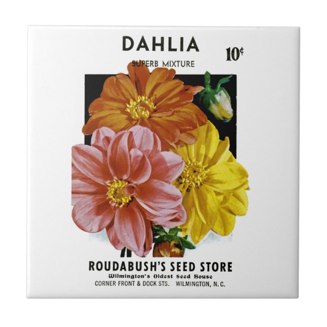 Dahlia Vintage Seed Packet (Frente)