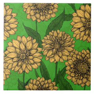 Dahlias em amarelo e verde