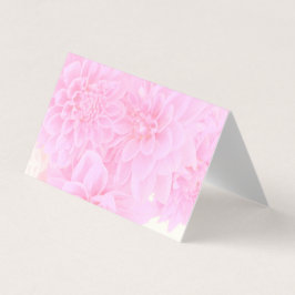 Dahlias Em Rosa Suave