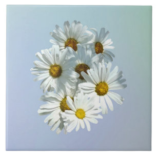 Daisies em Sunshine II