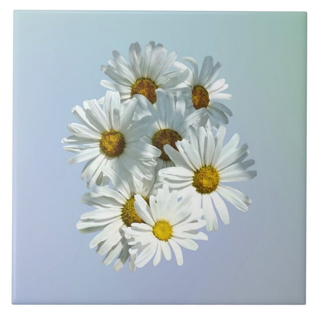 Daisies em Sunshine II (Frente)