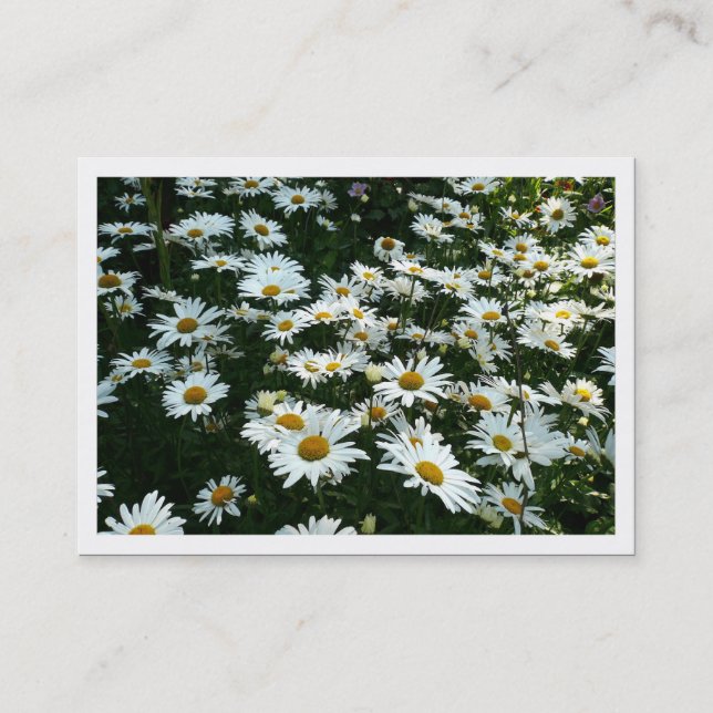 Daisies, Mini Cartão com fotos (Frente)