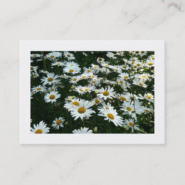 Daisies, Mini Cartão com fotos (Frente)