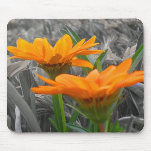 Daisies Mousepad (Frente)