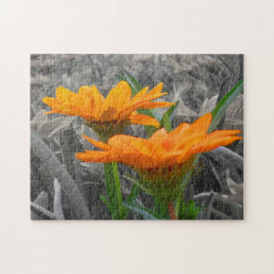Daisies Quebra-cabeça