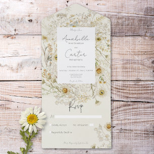 Daisies Secas Modernas Russas Floral Sem Janto