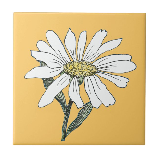 Daisy Azulejo (Frente)