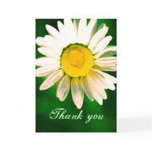 Daisy Cartões de agradecimentos