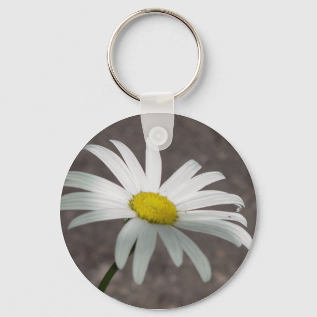 Daisy Chaveiro (Frente)