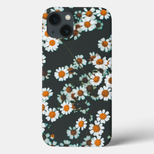 Daisy Daisies Floral
