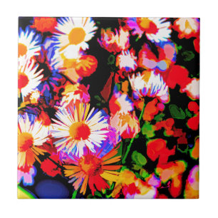 Daisy Daze