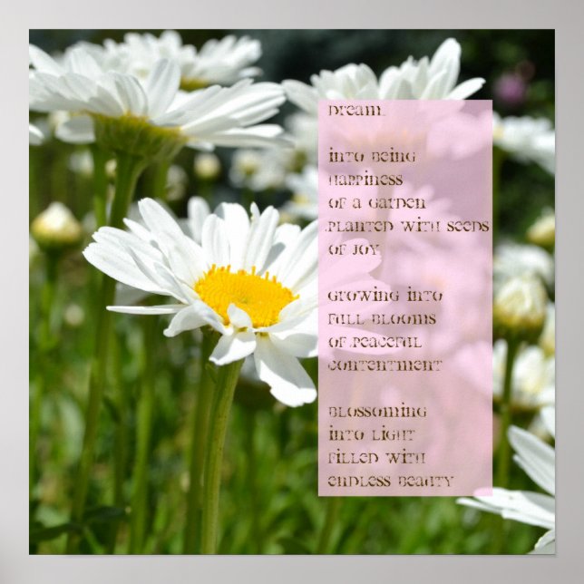 Daisy Dream Poem Poster (Frente)