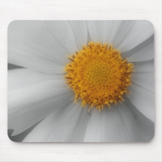 Daisy Flower Close Up Black White Mousepad (Frente)