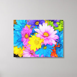 Daisy Flower Mix Canvas