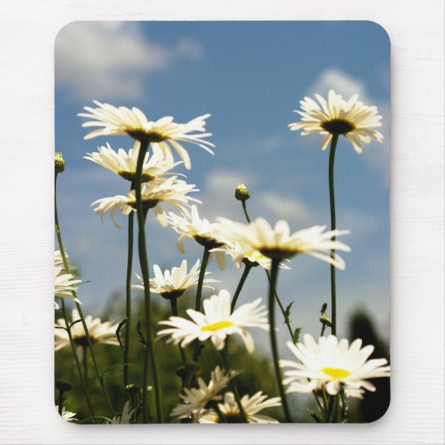 Daisy Flowers Mousepad (Frente)