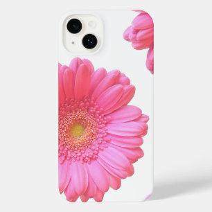 Daisy gerbera rosa