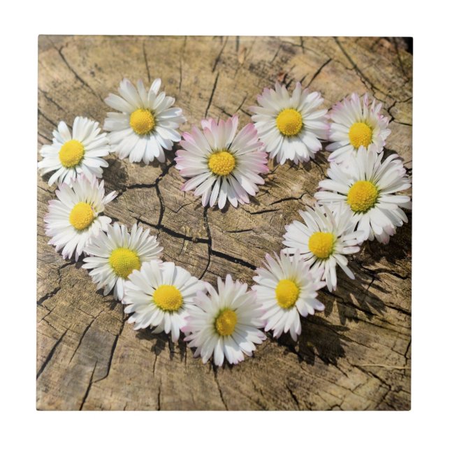 Daisy Heart - Love - Add Your Text / Name (Frente)